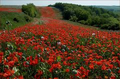 ...roter Fluss...