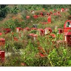 Roter Friedhof