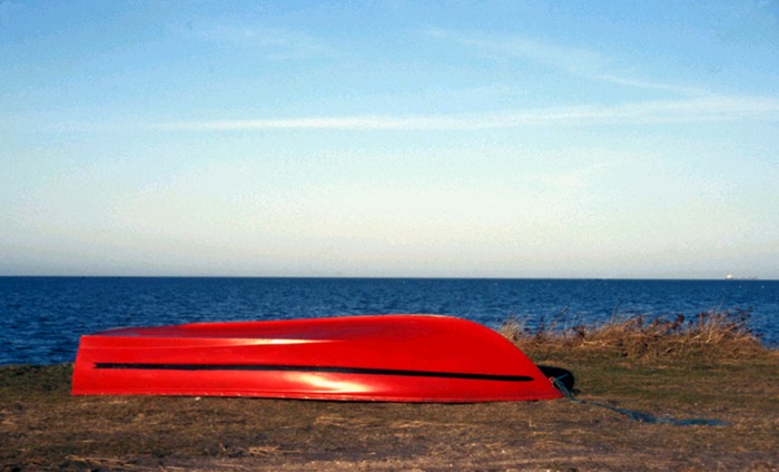 Roter Gruß vom Sommer