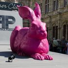 roter Hase