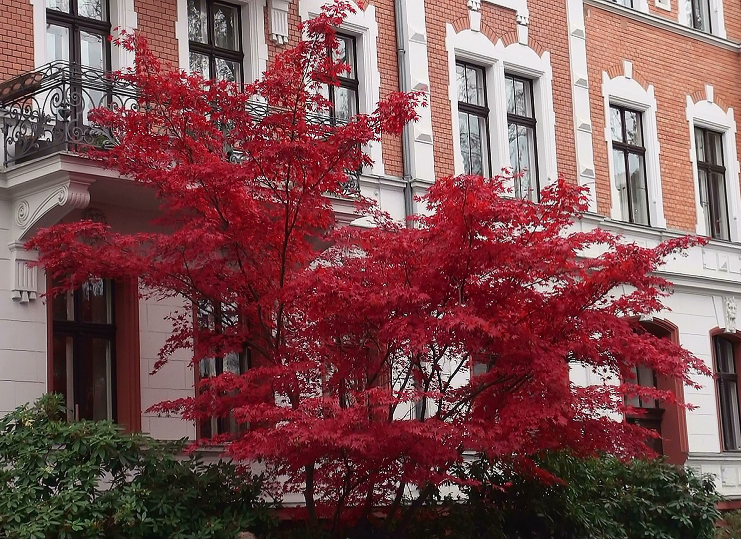 Roter Herbst
