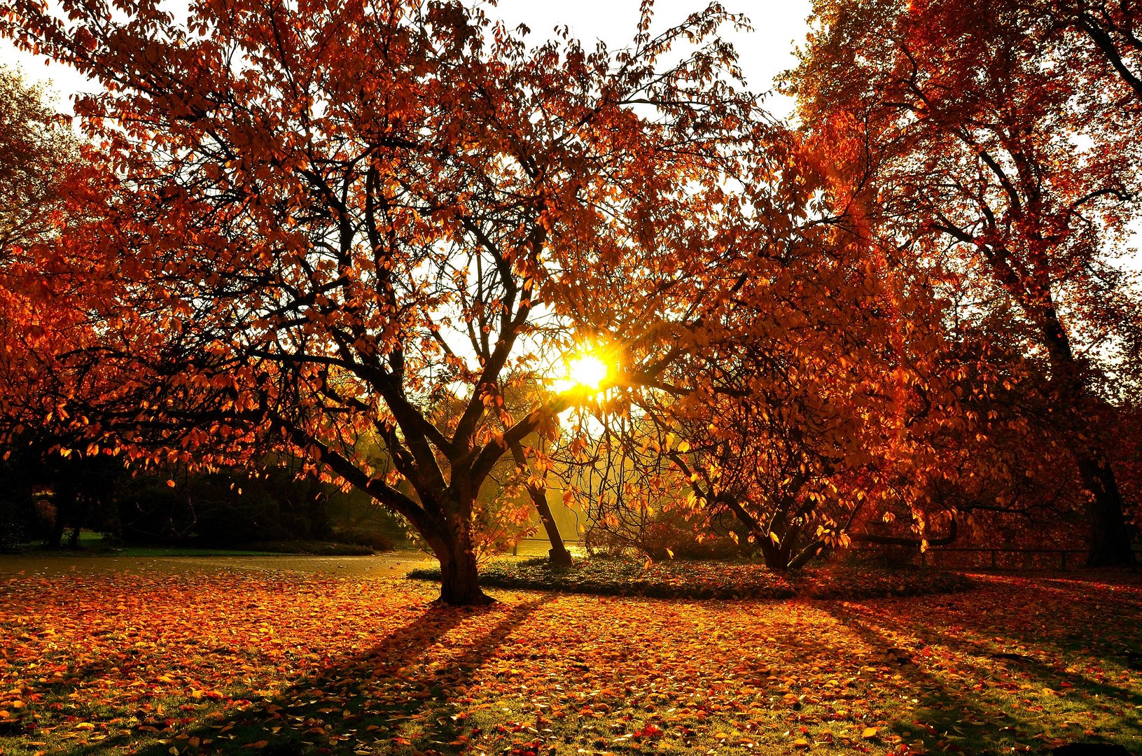 Roter Herbst