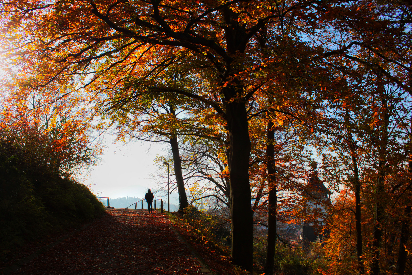 Roter Herbst