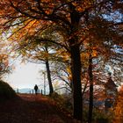 Roter Herbst