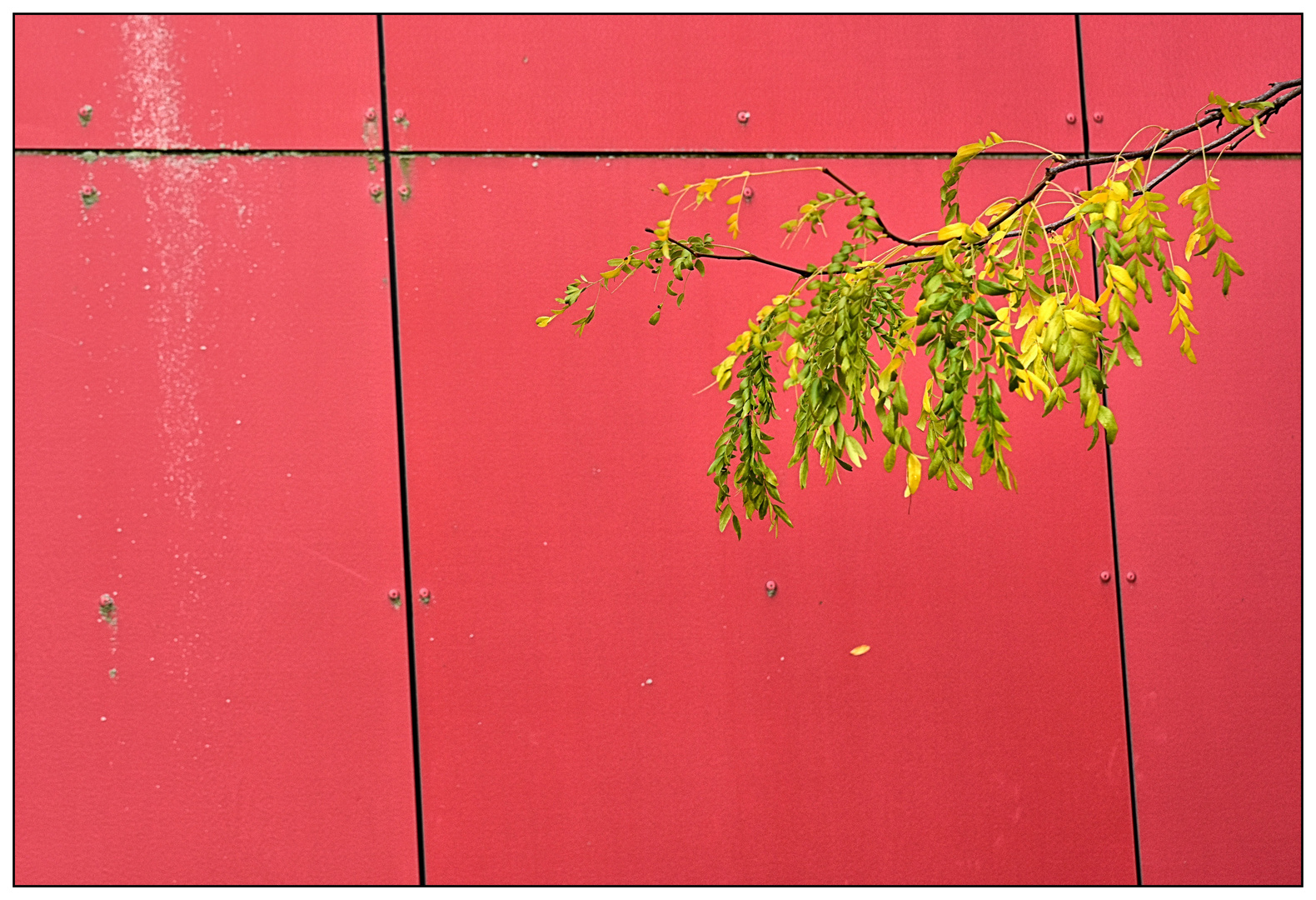 Roter Herbst