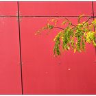 Roter Herbst