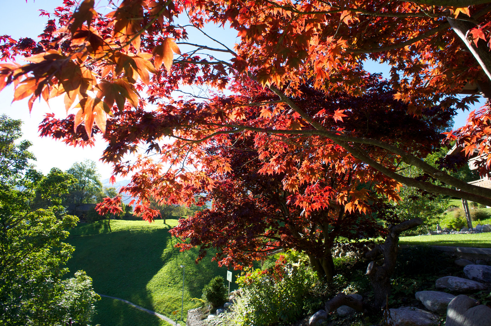 Roter Herbst