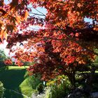 Roter Herbst