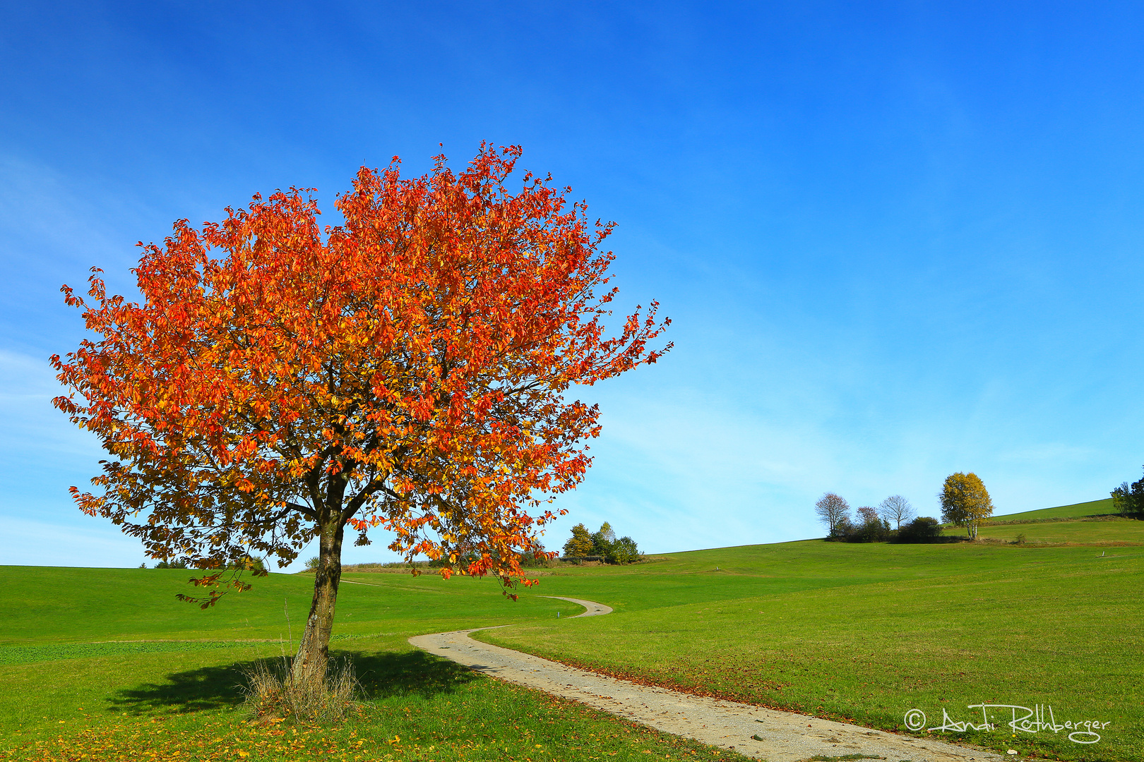 roter Herbst