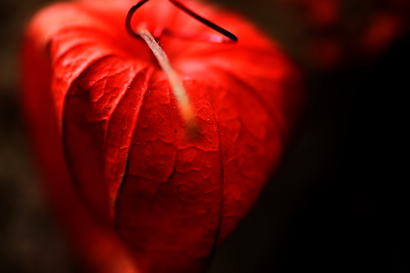 Roter Herbst