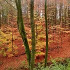 roter Herbst