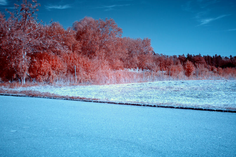 Roter Herbst (Im Spätsommer)