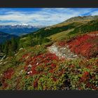 Roter Herbstzauber