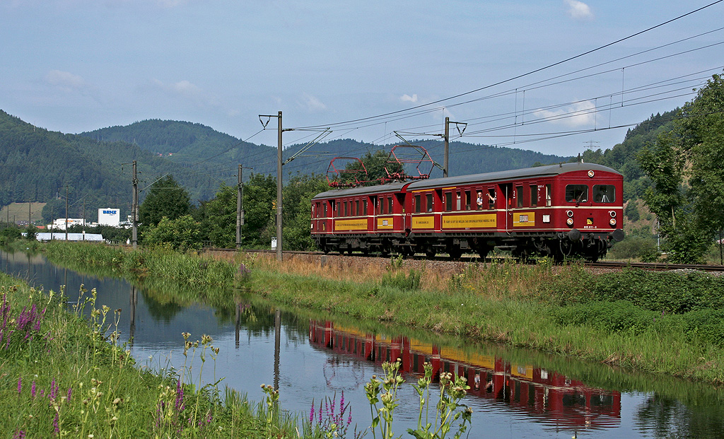 Roter Heuler am Wasser