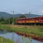 Roter Heuler am Wasser