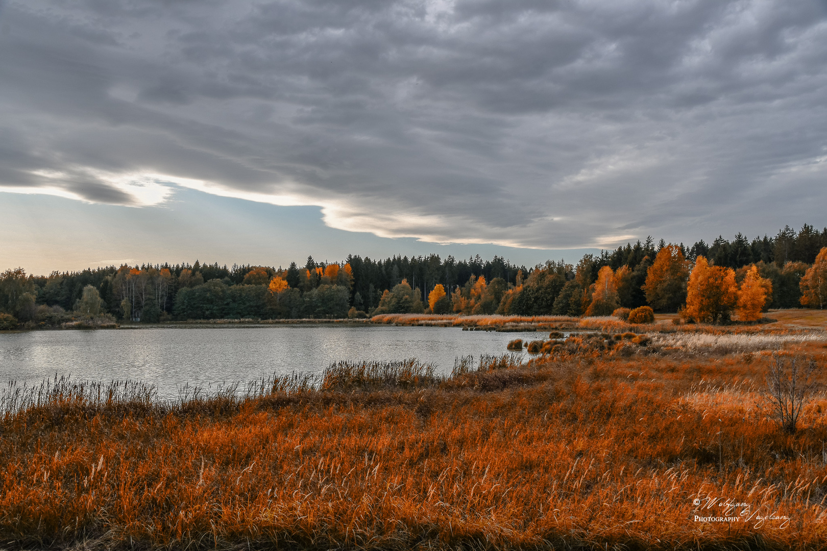 Roter Hiel Foto & Bild landschaft, jahreszeiten, herbst Bilder auf