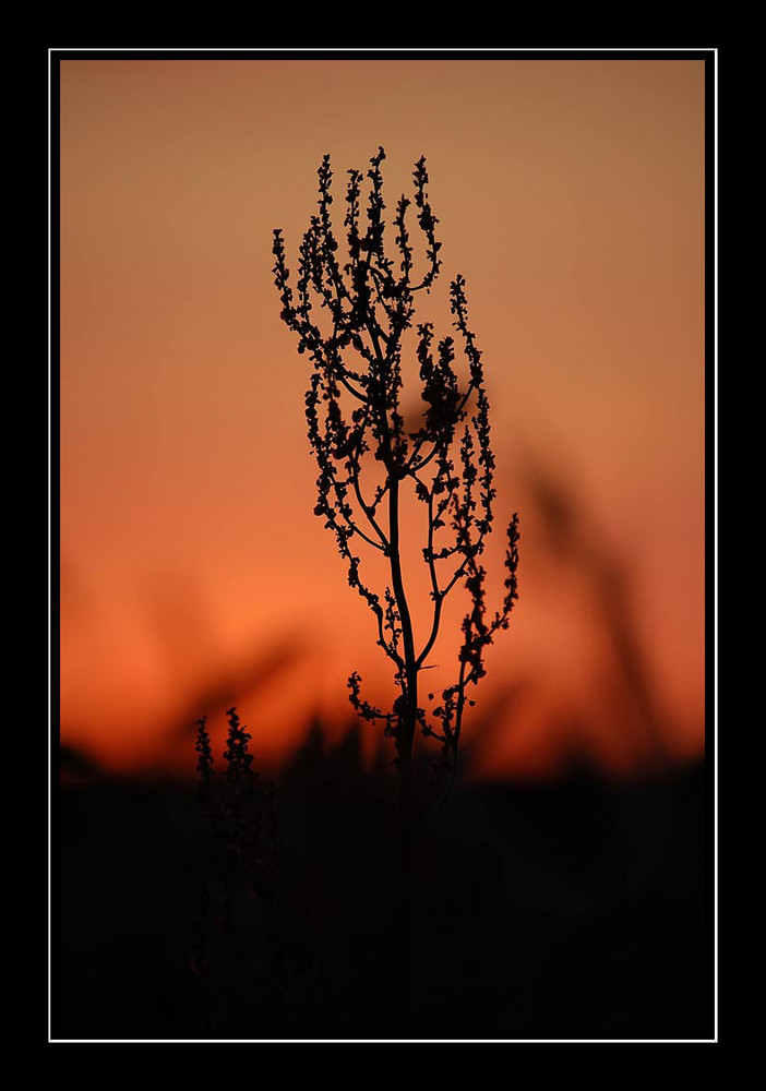 Roter Himmel