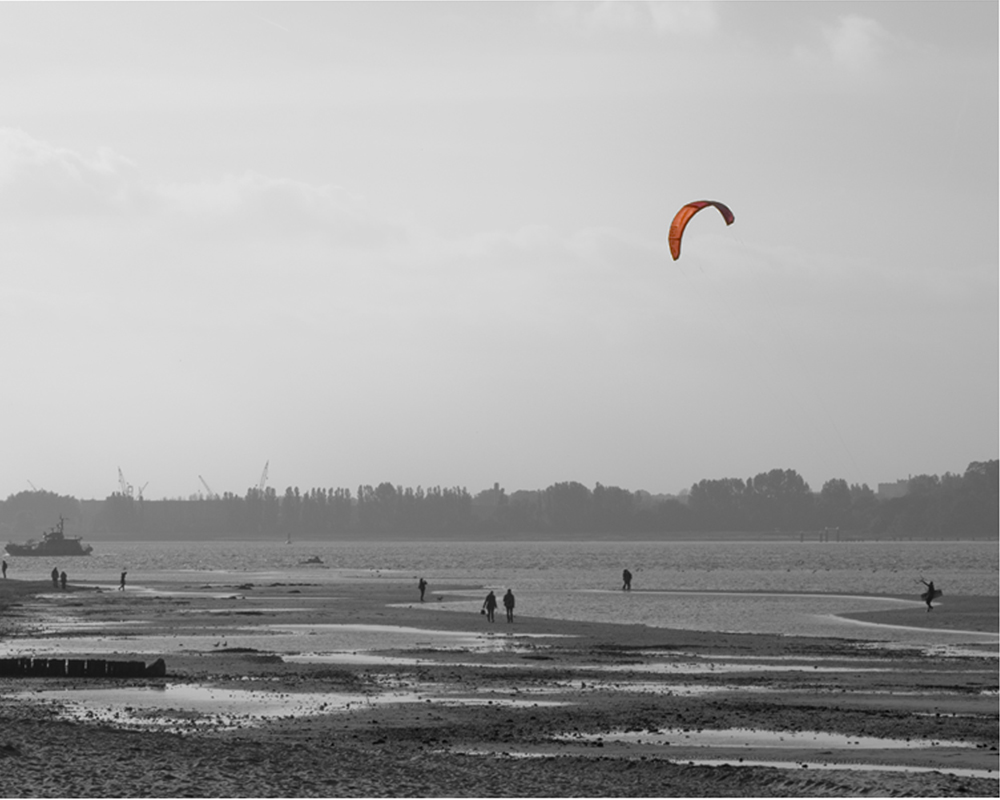 Roter Kite