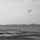 Roter Kite