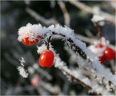 roter Kontrast