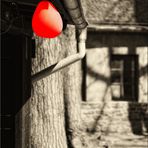 Roter Luftballon