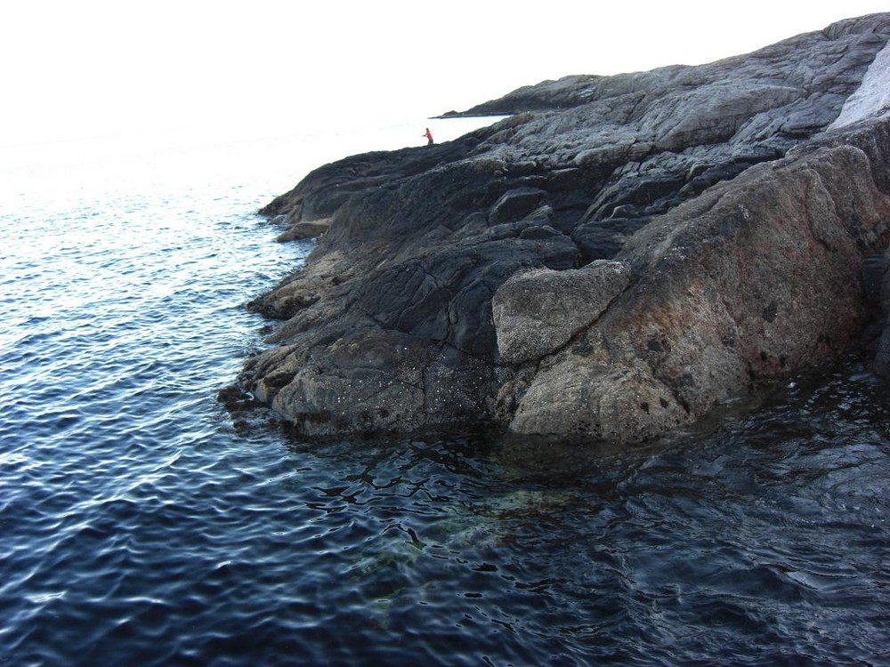 roter Mini-Angler auf den Lofoten... :)