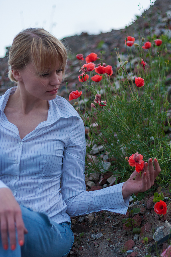 Roter Mohn