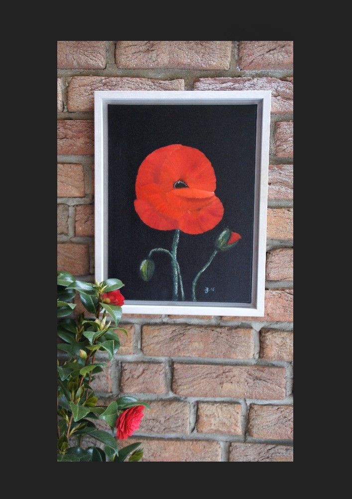 Roter Mohn 2015