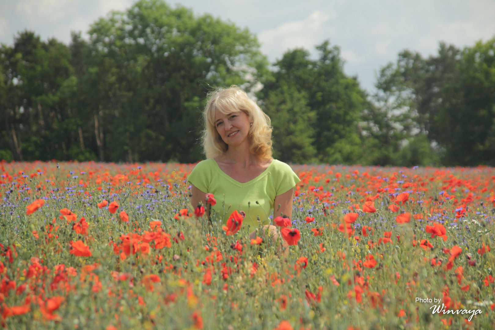 Roter Mohn