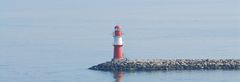 roter Molenkopf - Warnemünde