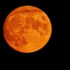 ROTER MOND 