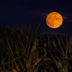 Roter Mond am 30. September 2020