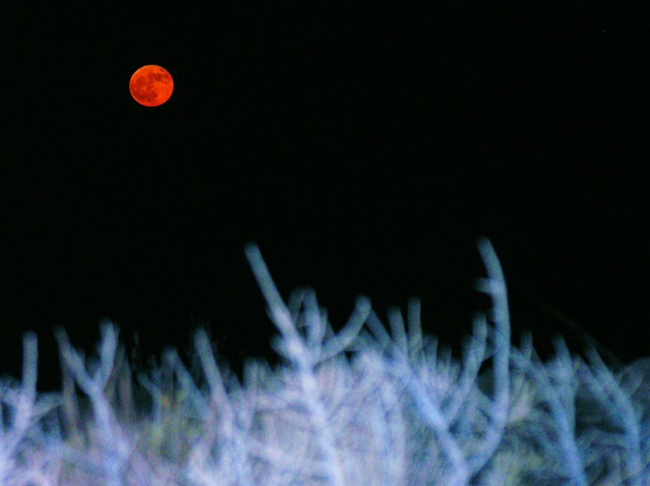 ROTER MOND... (Foto-Lyrik)