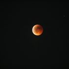 Roter Mond ... Mondfinsternis 2011-Juni