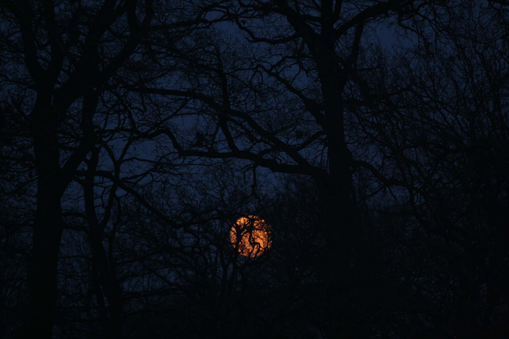 Roter Mond nach dem ersten Frost