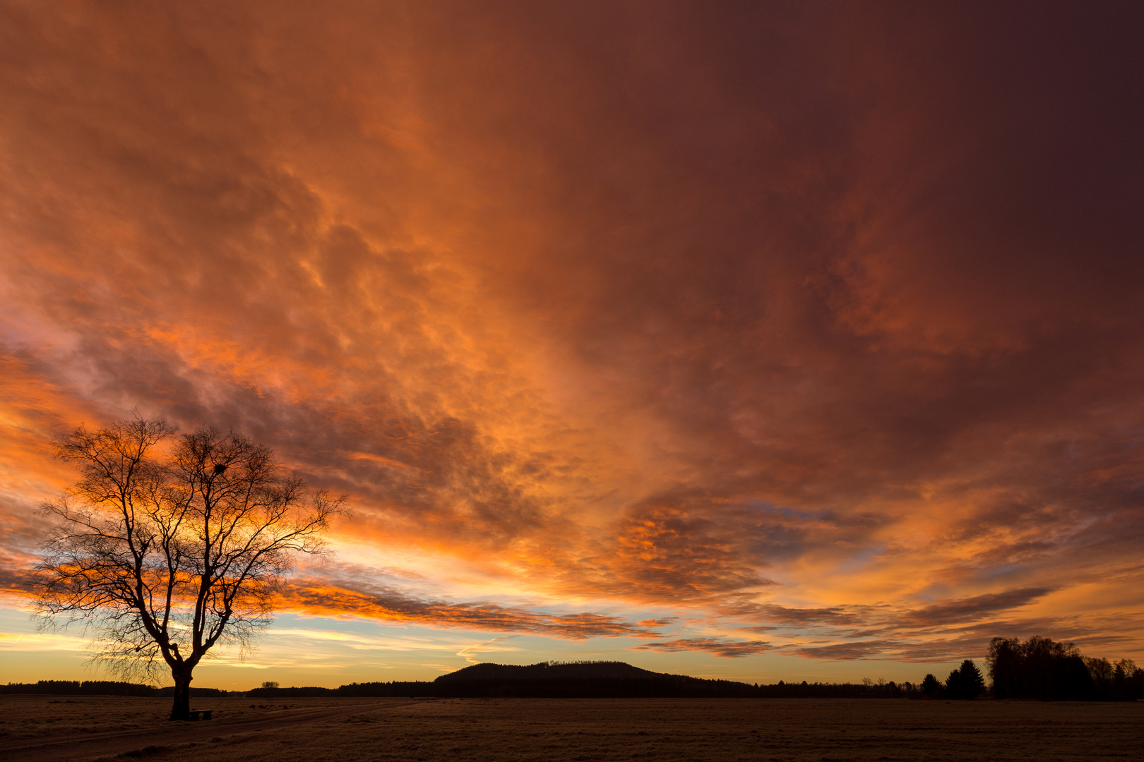 Roter Morgen