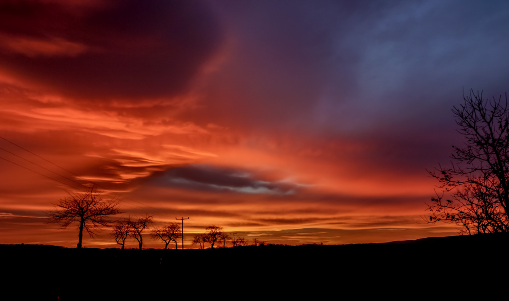 roter Morgen