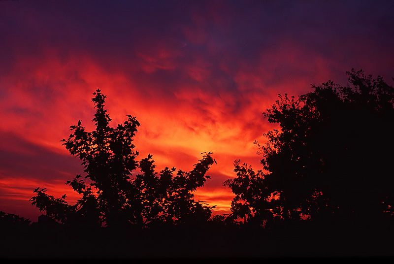 Roter Morgen.