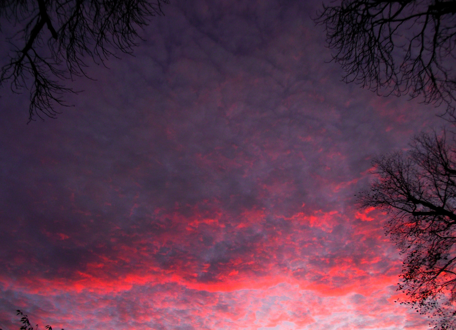 Roter Morgen