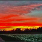 Roter Morgenhimmel