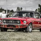 Roter Mustang