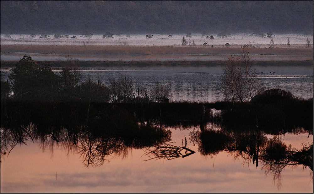 roter Nebel 2