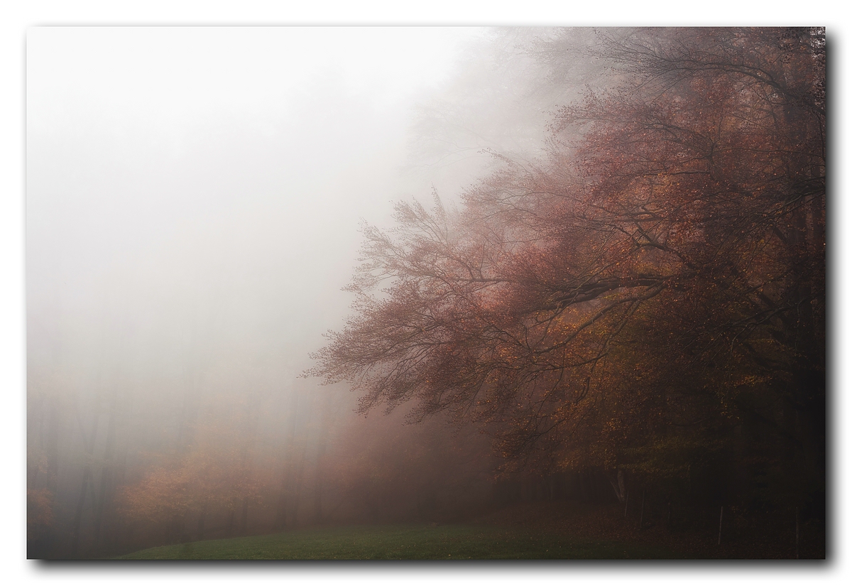 Roter Nebel