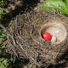 Roter Nest Ballon