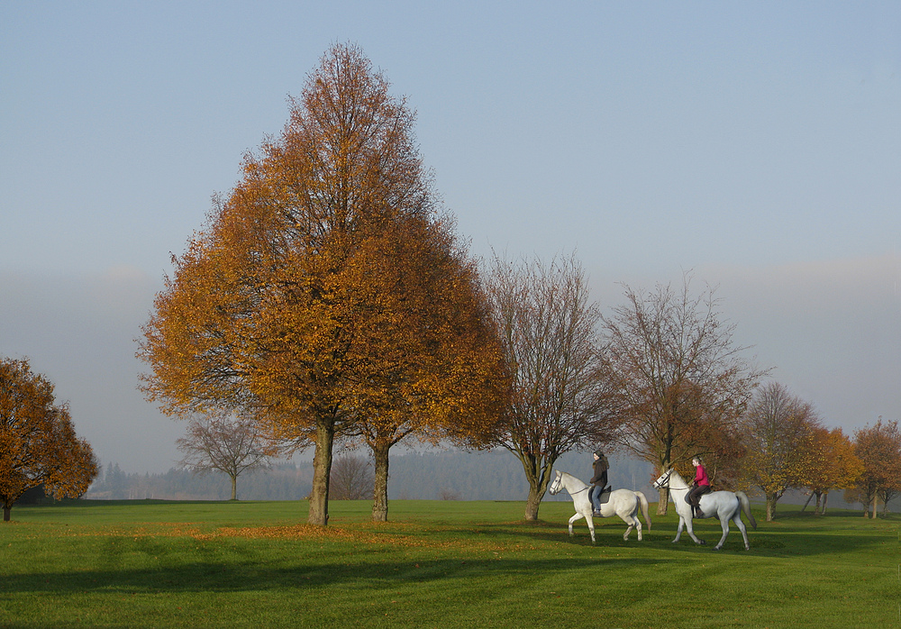 roter November