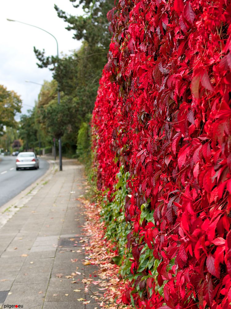 Roter Oktober