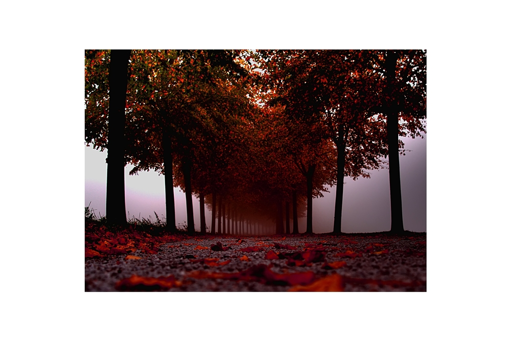 roter Oktober