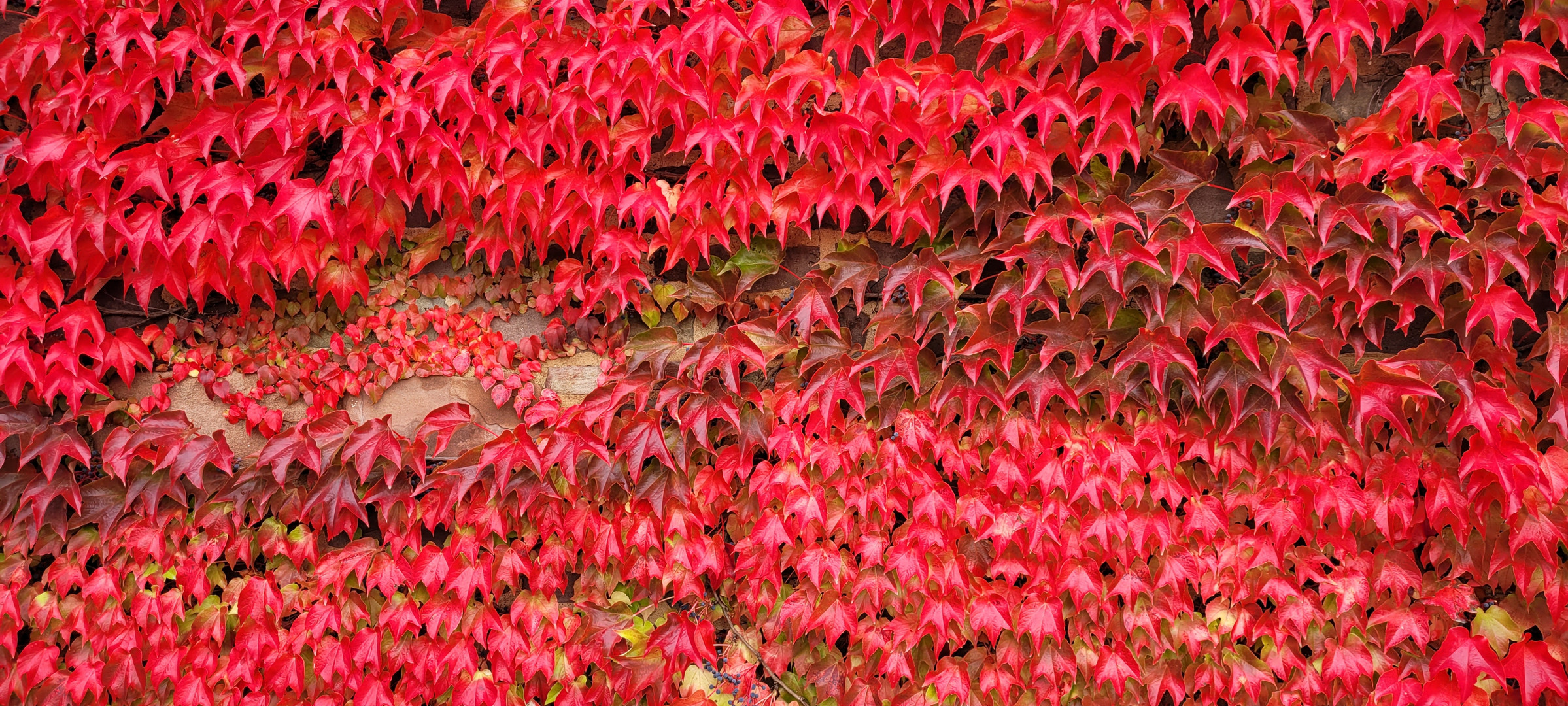 Roter Oktober