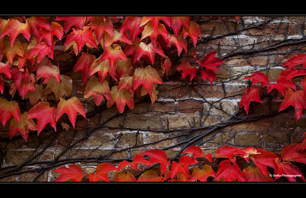 roter Oktober