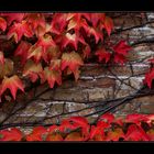 roter Oktober